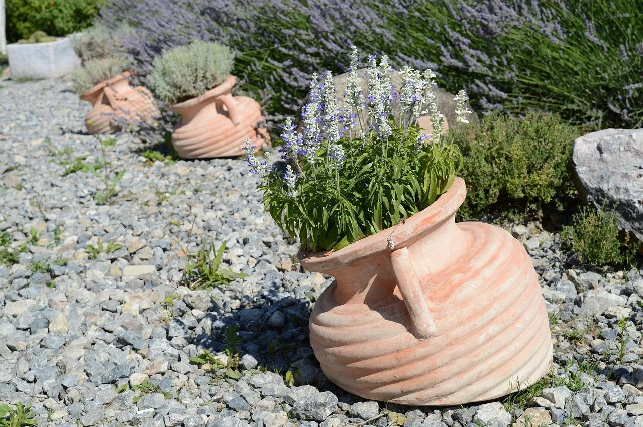Fiori di lavanda viola in giardino, simbolo di bellezza e facilità di coltivazione.
