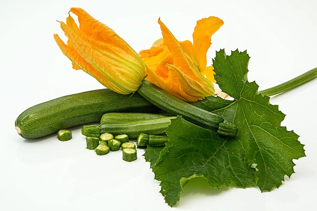 Piantare zucchine: mese ideale per un raccolto abbondante e sano.